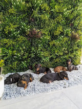 Luxury Lush Spring Recycled Vertical Garden / Green Wall UV Resistant 100cm x 100cm