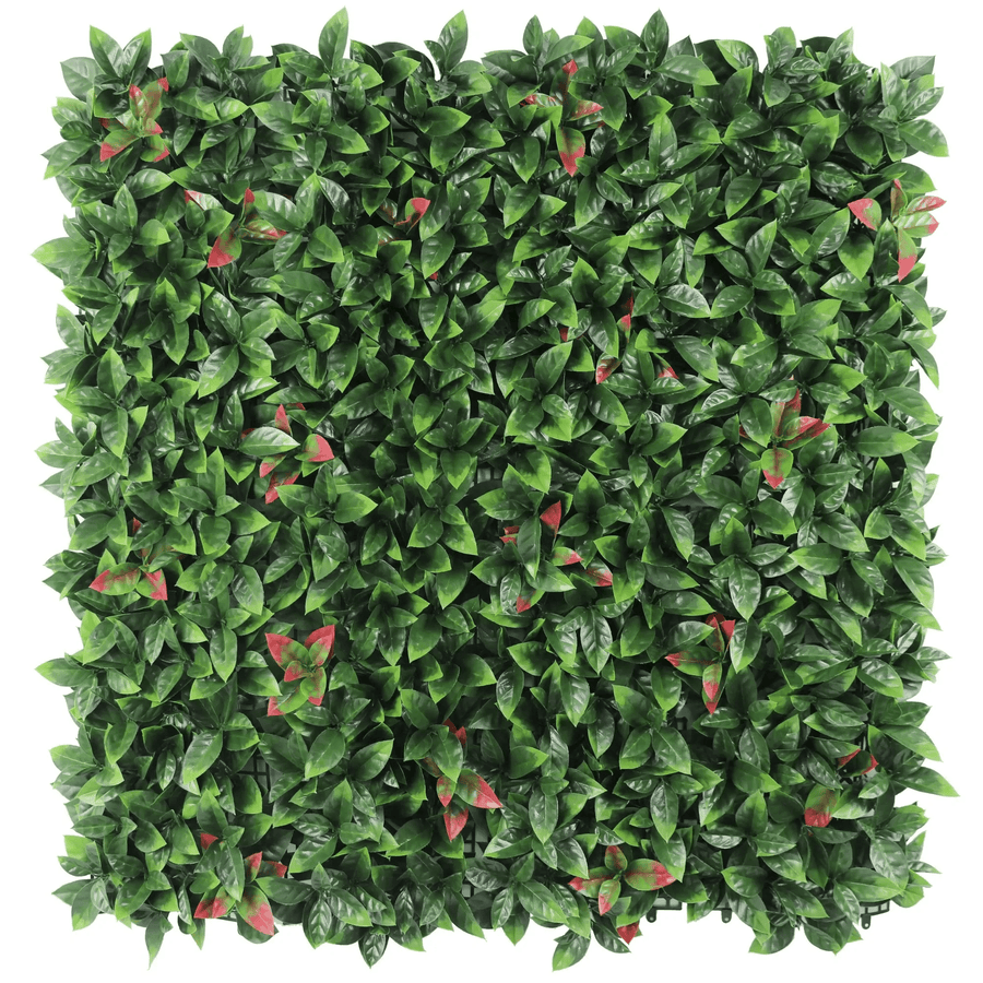 Photinia (Red Robin) Hedge Leaf Screens / Panels UV Resistant 1m x 1m - Designer Plants