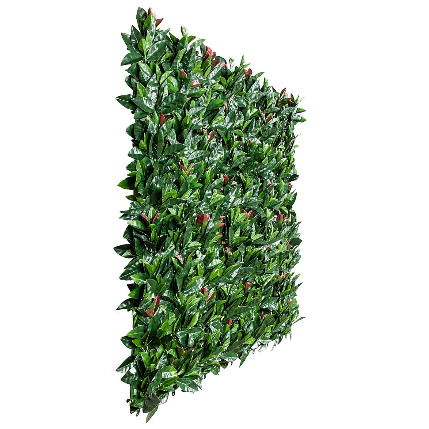 Photinia (Red Robin) Hedge Leaf Screens / Panels UV Resistant SAMPLE