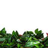 Photinia (Red Robin) Hedge Leaf Screens / Panels UV Resistant SAMPLE