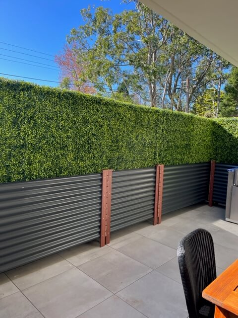 Large Portable Mixed Boxwood Hedge 1.5m by 1.5m UV Resistant