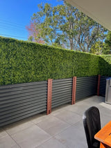 Large Portable Mixed Boxwood Hedge 1.5m by 1.5m UV Resistant