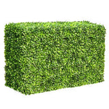 Mixed Boxwood Hedge UV Resistant 100cm Long x 50cm High - Designer Plants