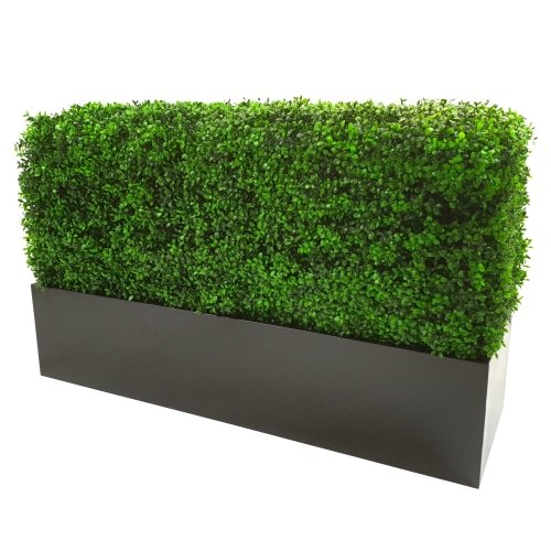 Luxury Deluxe Portable Buxus (Bright) UV Resistant 100cm Long x 50cm High x 25cm Wide - Designer Plants