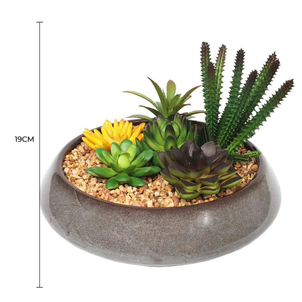 Potted Artificial Succulents with Round Decorative Bowl 19cm