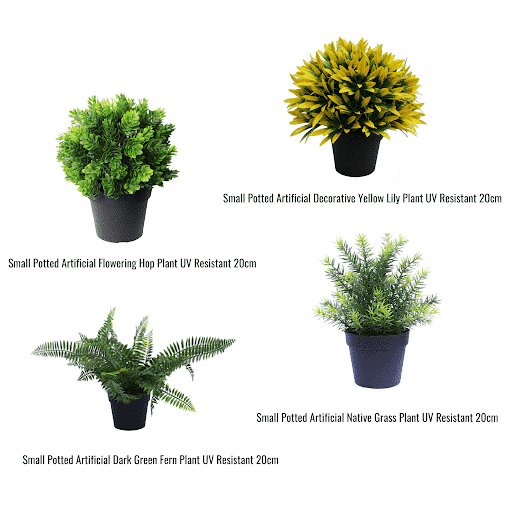 UV Treated 20cm Small Potted Plants Bundle - Designer Plants