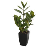 Potted Zanzibar 46cm - Designer Plants