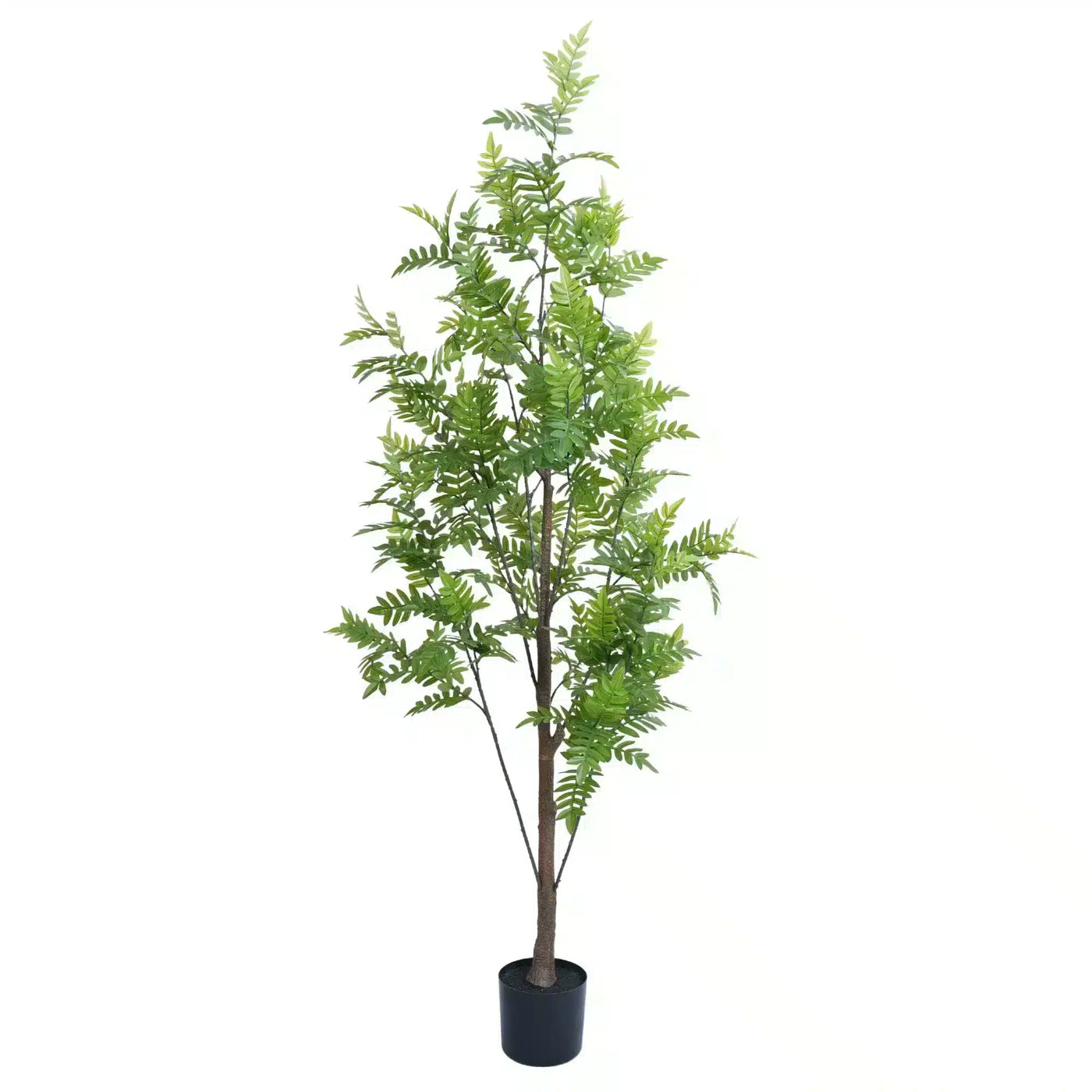 Premium Real Touch Artificial Bracken Palm Tree 180cm - Designer Plants