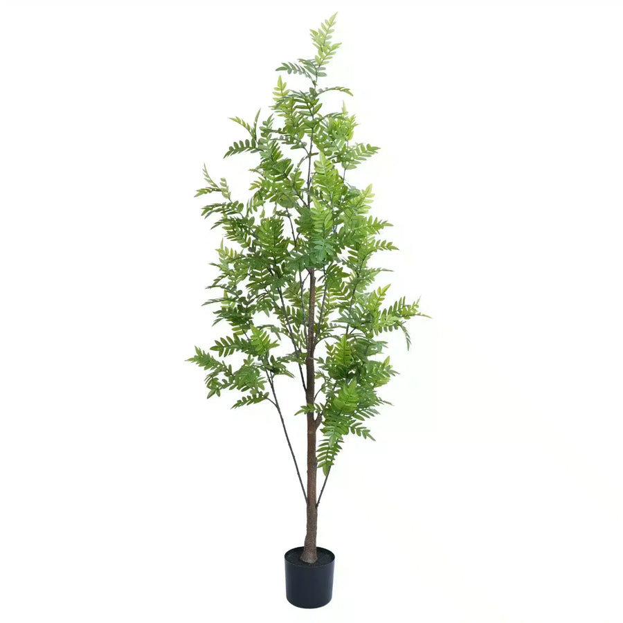 Premium Real Touch Artificial Bracken Palm Tree 180cm - Designer Plants