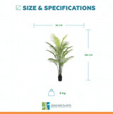Premium Dense Artificial Palm Tree 180cm Areca (Knock Down)