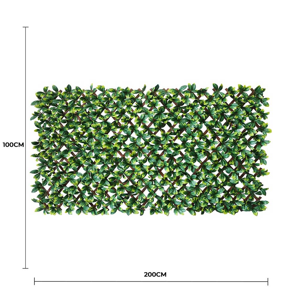 Premium Durable Laurel Leaf Artificial Hedge Extendable Trellis / Screen 2 Meter By 1 Meter UV Resistant (PVC)