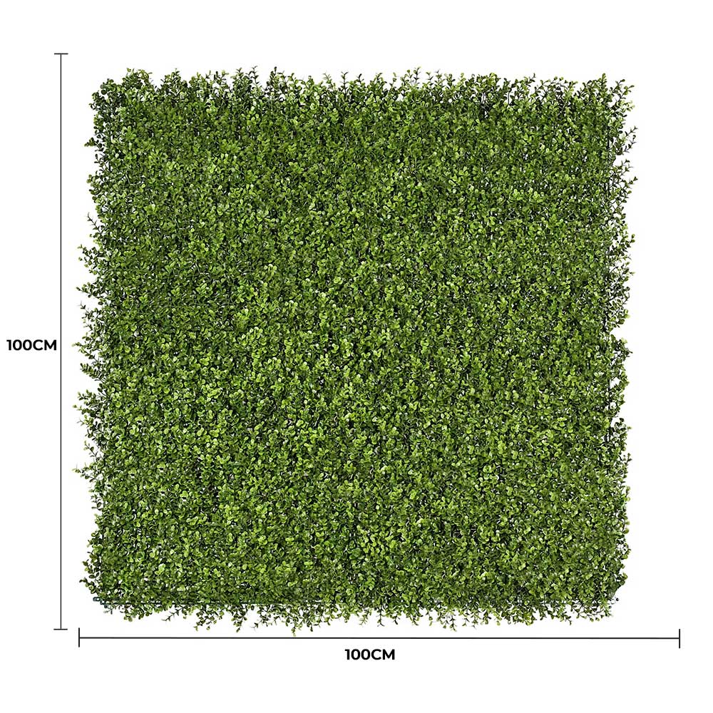 Premium Natural Buxus Hedge Panels UV Resistant SAMPLE