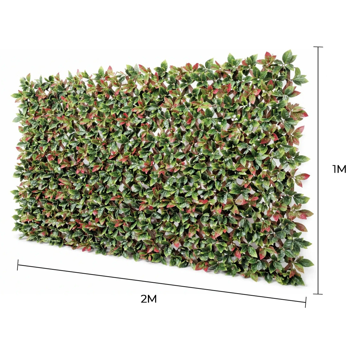 Premium Photinia Leaf Artificial Hedge Extendable Trellis / Screen 2 Meter By 1 Meter UV Resistant (PVC) - New Arrival January