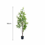 Premium Real Touch Artificial Bracken Palm Tree 180cm