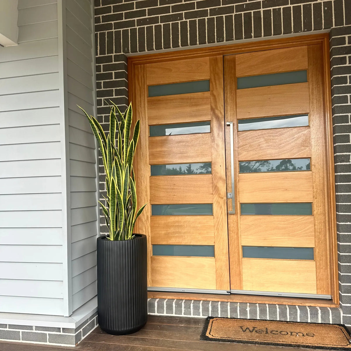 Tall snake plant in modern black ribbed planter by a contemporary wooden front door.