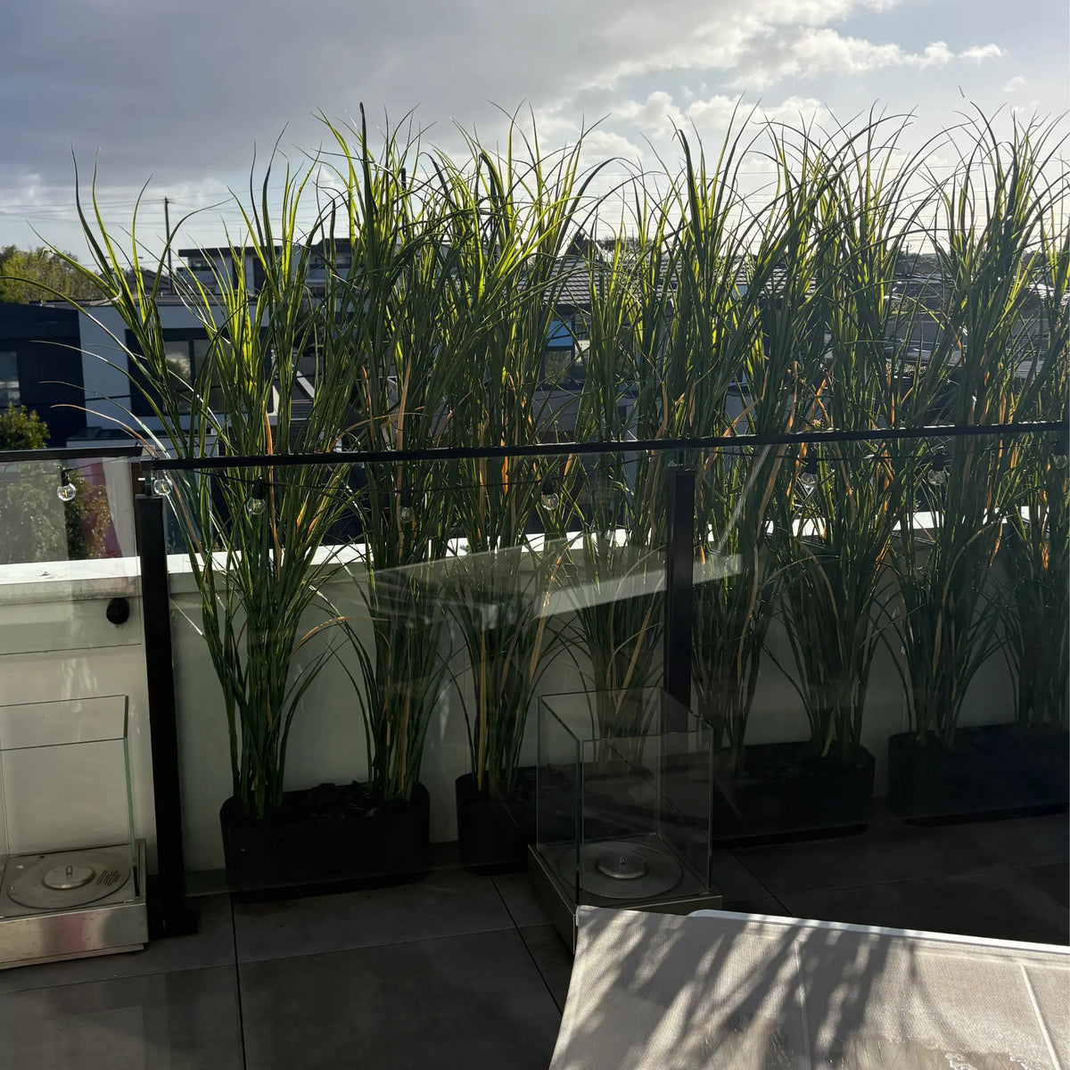 180cm premium potted artificial Yucca/Reed Grass arranged along a glass balcony railing, creating a tall, lush green privacy screen in a bright outdoor setting.