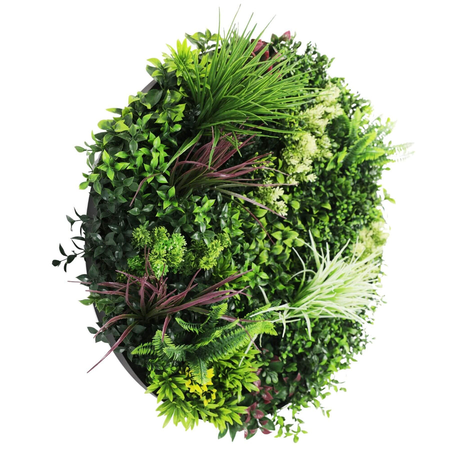 Slimline Artificial Green Wall Disc Art 80cm Colour Fresh UV Resistant (Black) - Designer Plants