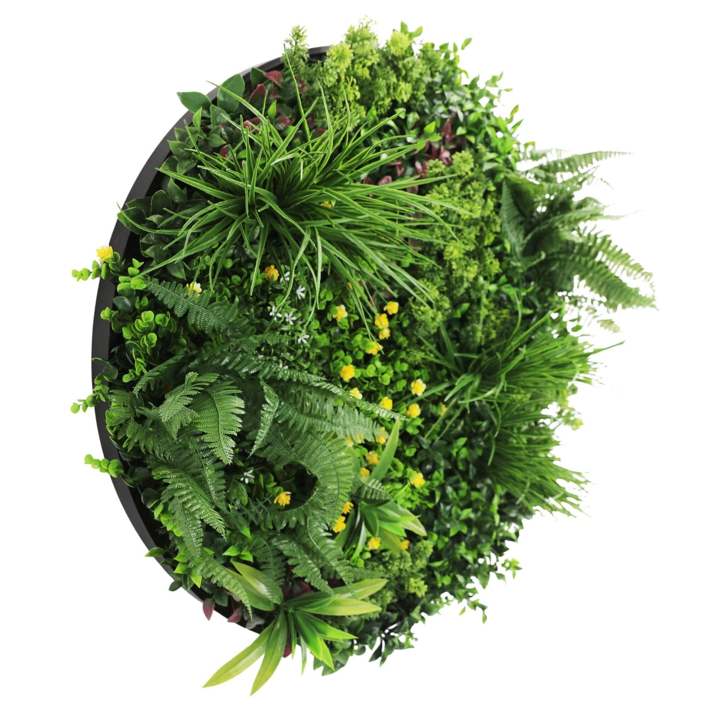 Slimline Artificial Green Wall Disc Art 80cm Country Fern UV Resistant (Black) - Designer Plants