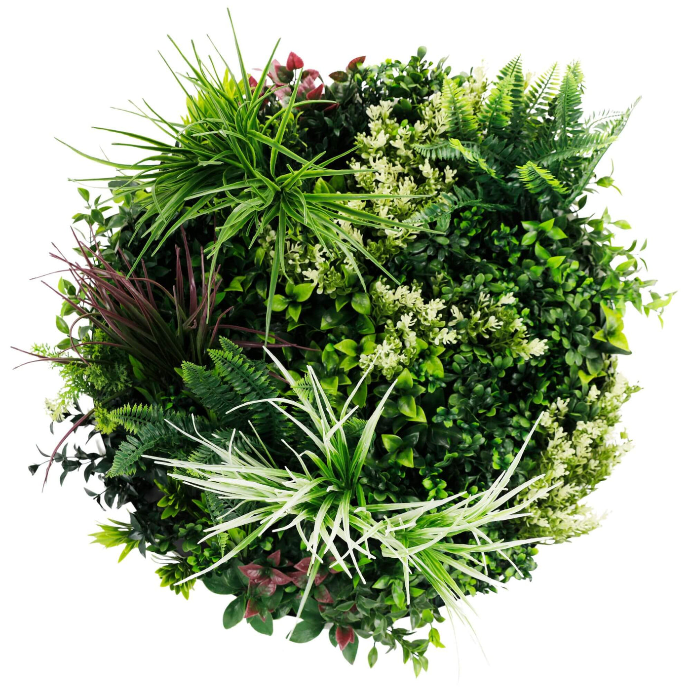 Slimline Artificial Green Wall Disc Art 60cm Colour Fresh UV Resistant (Black) - Designer Plants