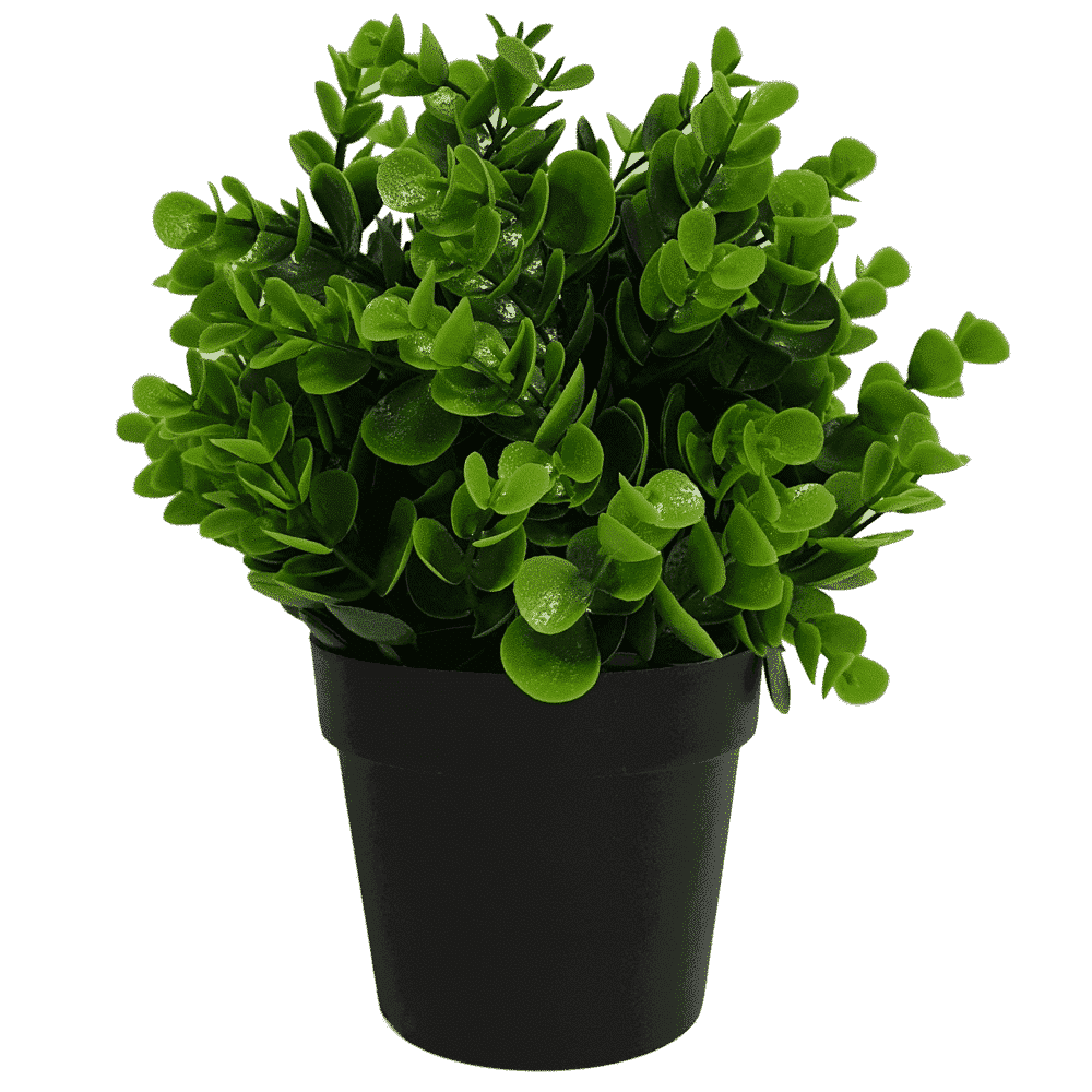 Small Potted Artificial Peperomia Plant UV Resistant 20cm - Designer Plants
