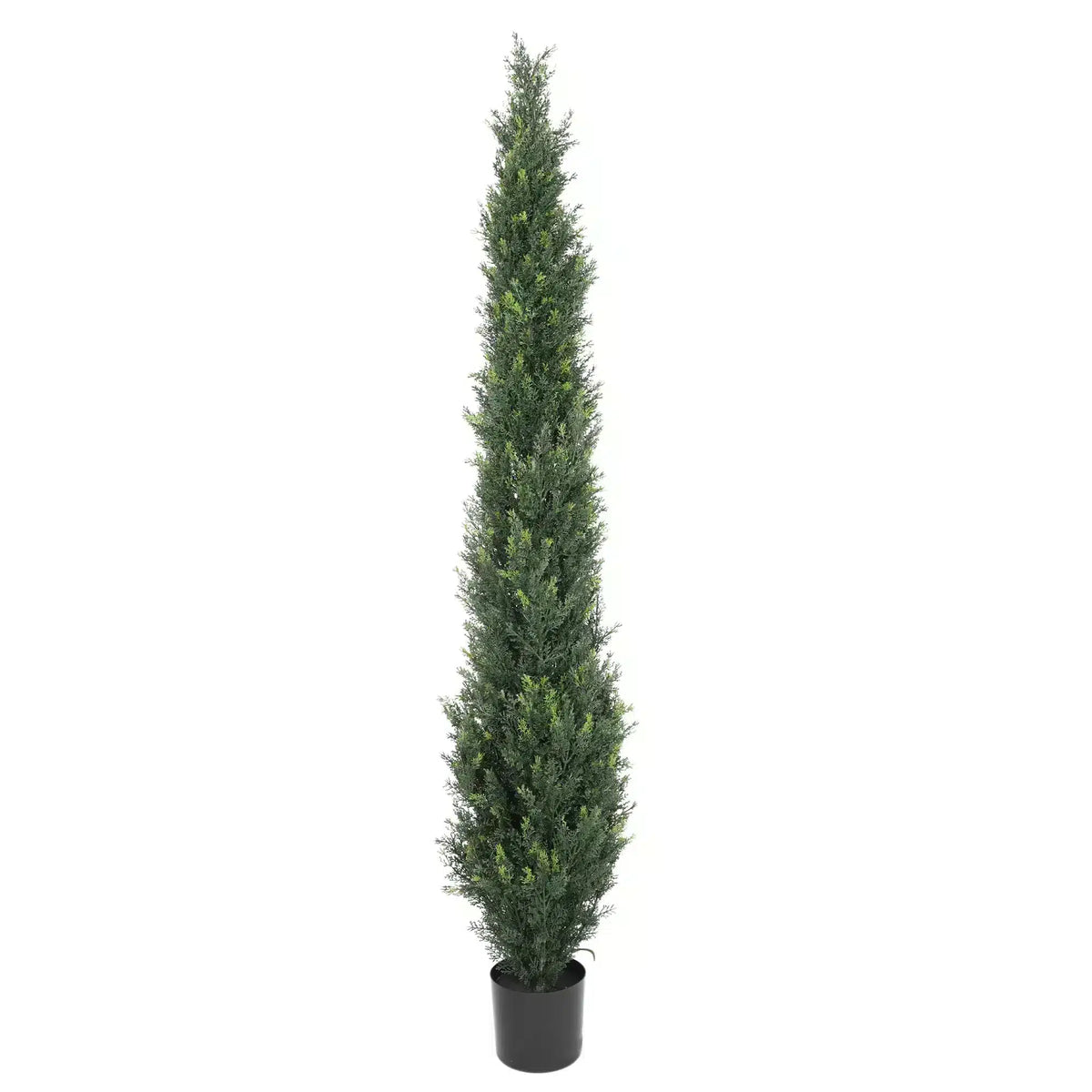Artificial Cypress Pine Tree UV Resistant 1.8M - Designer Plants