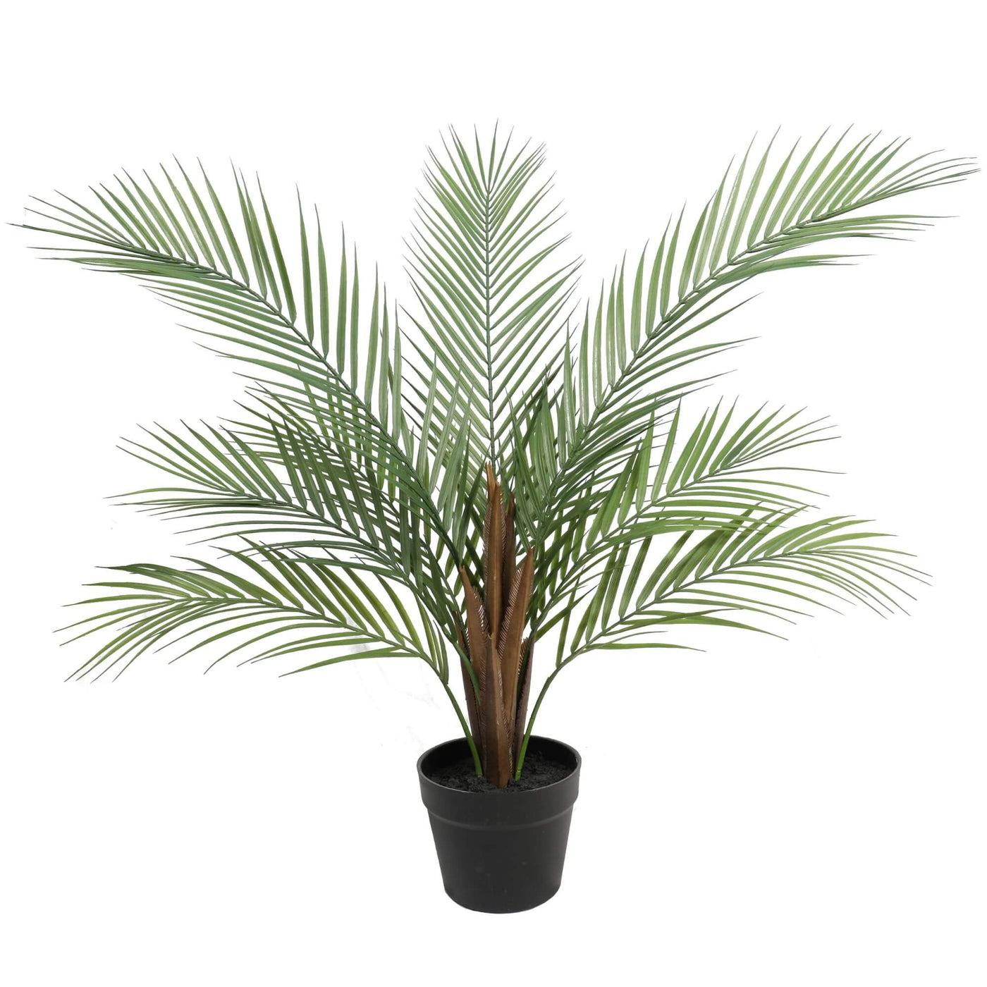 Luxury Small Artificial Areca Palm Plant 80cm - Designer Plants