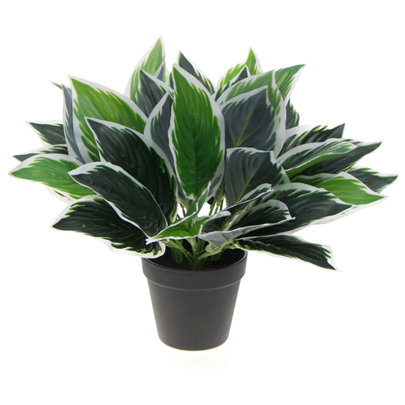 Dense Potted Artificial Calathea Plant 35cm