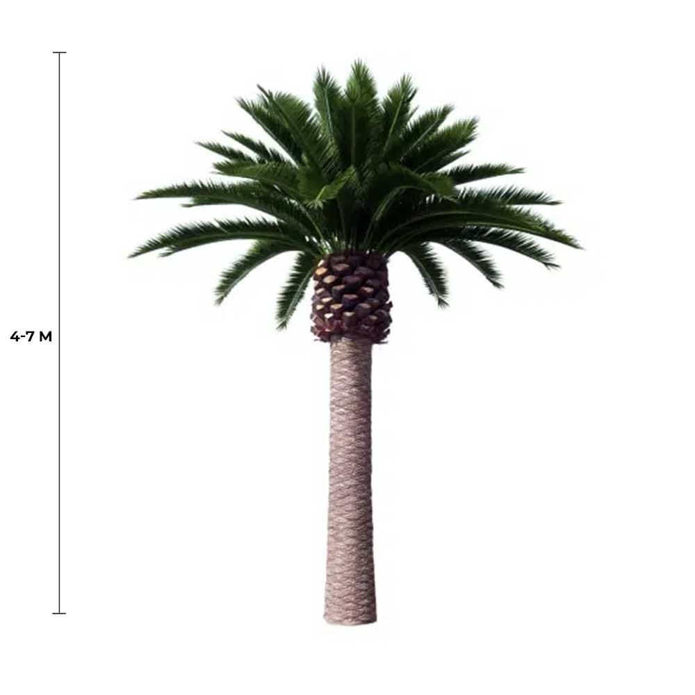 Tall Artificial Canary Palm Tree (4m to 7m) UV Resistant