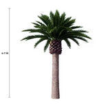 Tall Artificial Canary Palm Tree (4m to 7m) UV Resistant