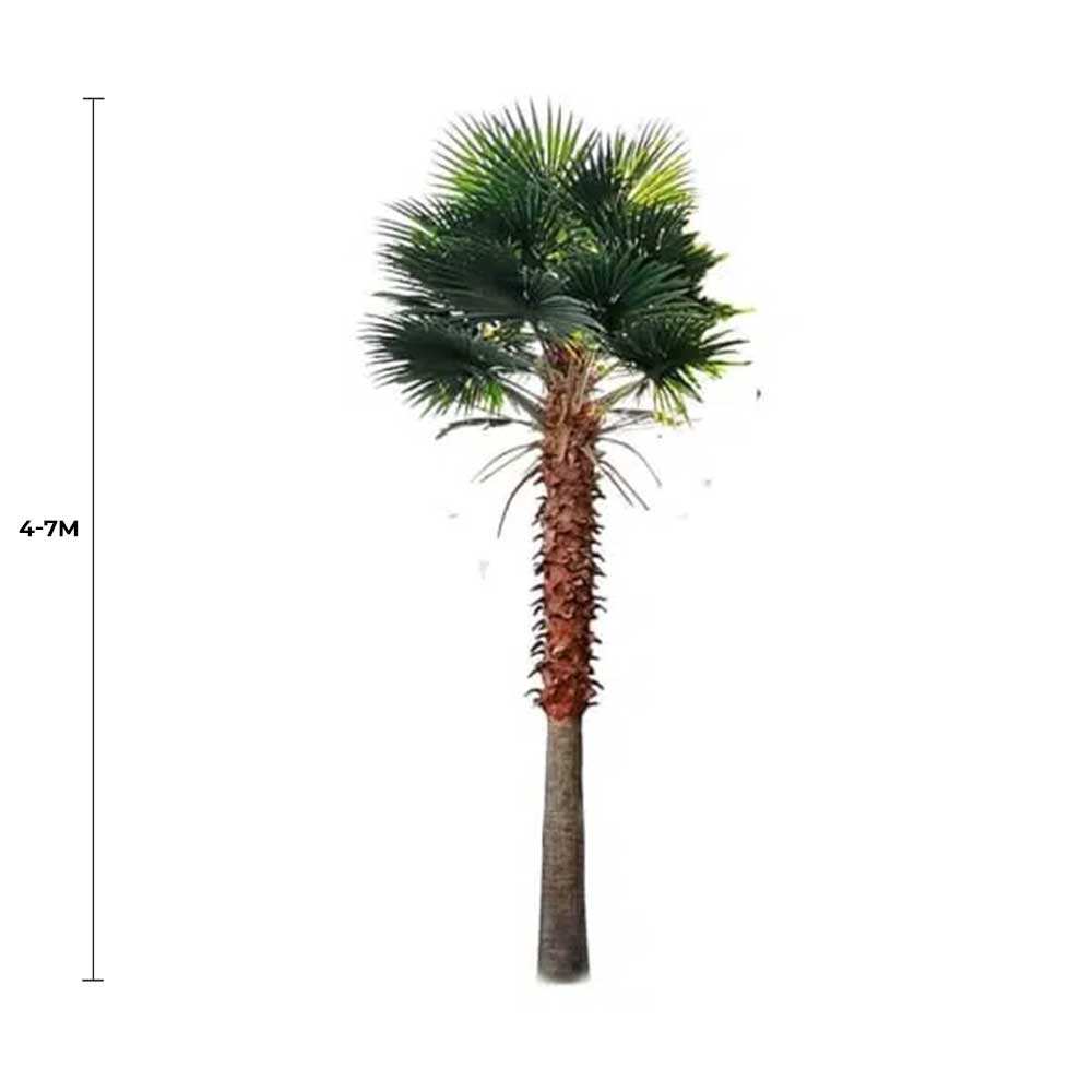 Tall Artificial Fan Palm Tree (4m to 7m) UV Resistant