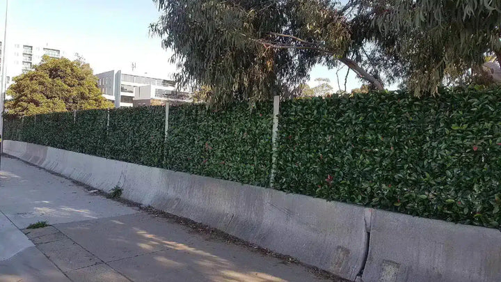 A long green artificial hedge wall mounted on a concrete base along a sidewalk, with trees and buildings visible in the background.