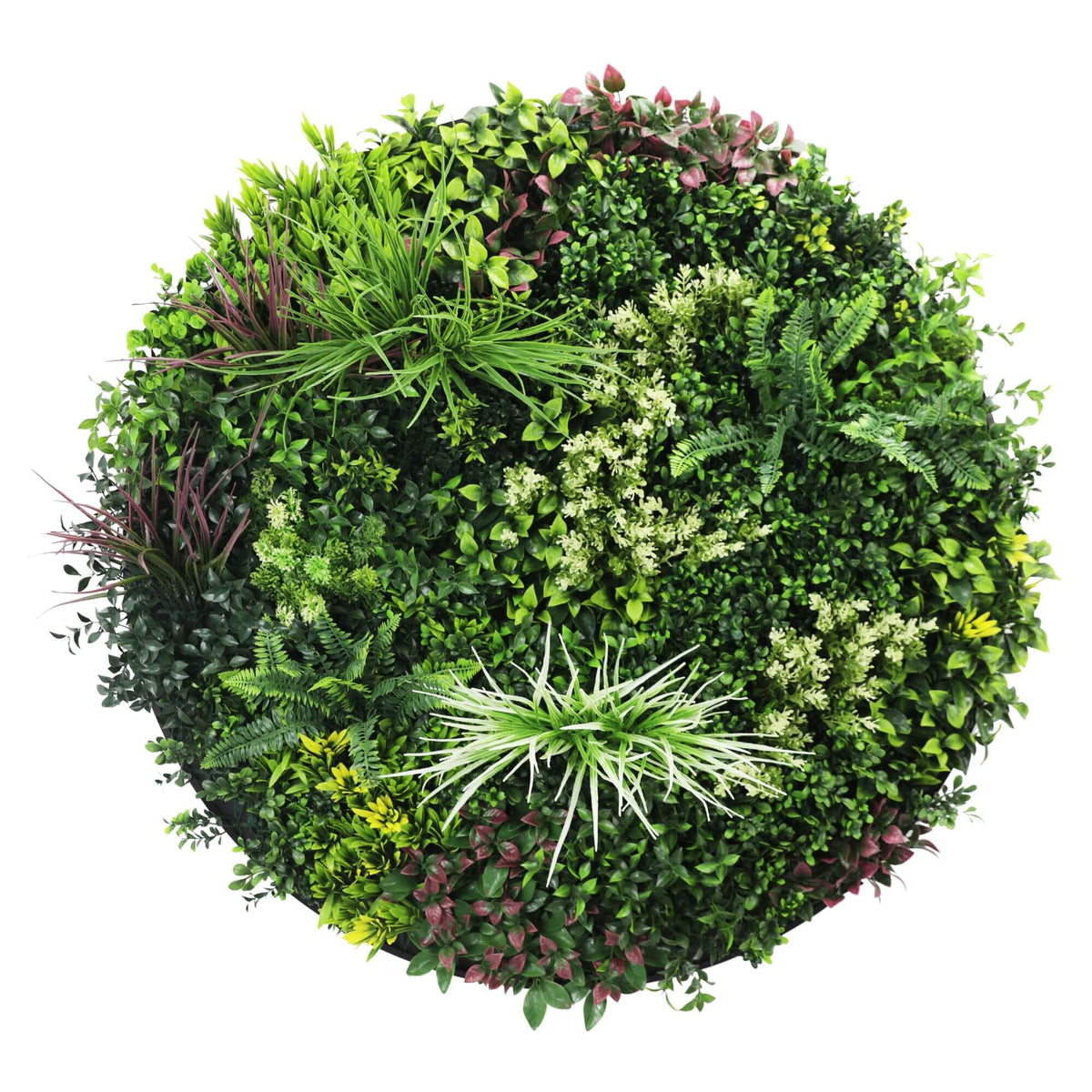 Slimline Artificial Green Wall Disc Art 100cm Colour Fresh UV Resistant (White) - Designer Plants