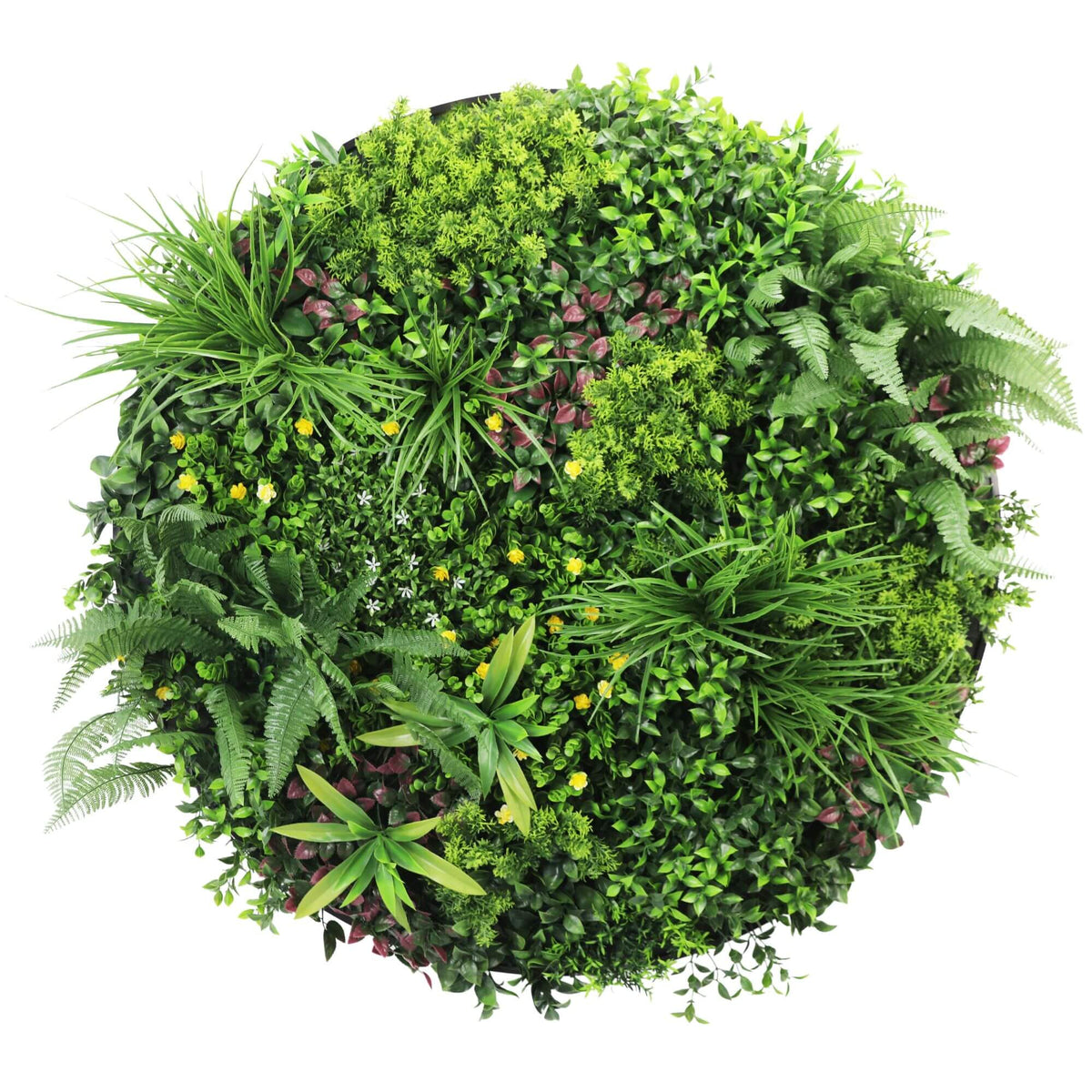 Slimline Artificial Green Wall Disc Art 100cm Country Fern UV Resistant (Black) - Designer Plants