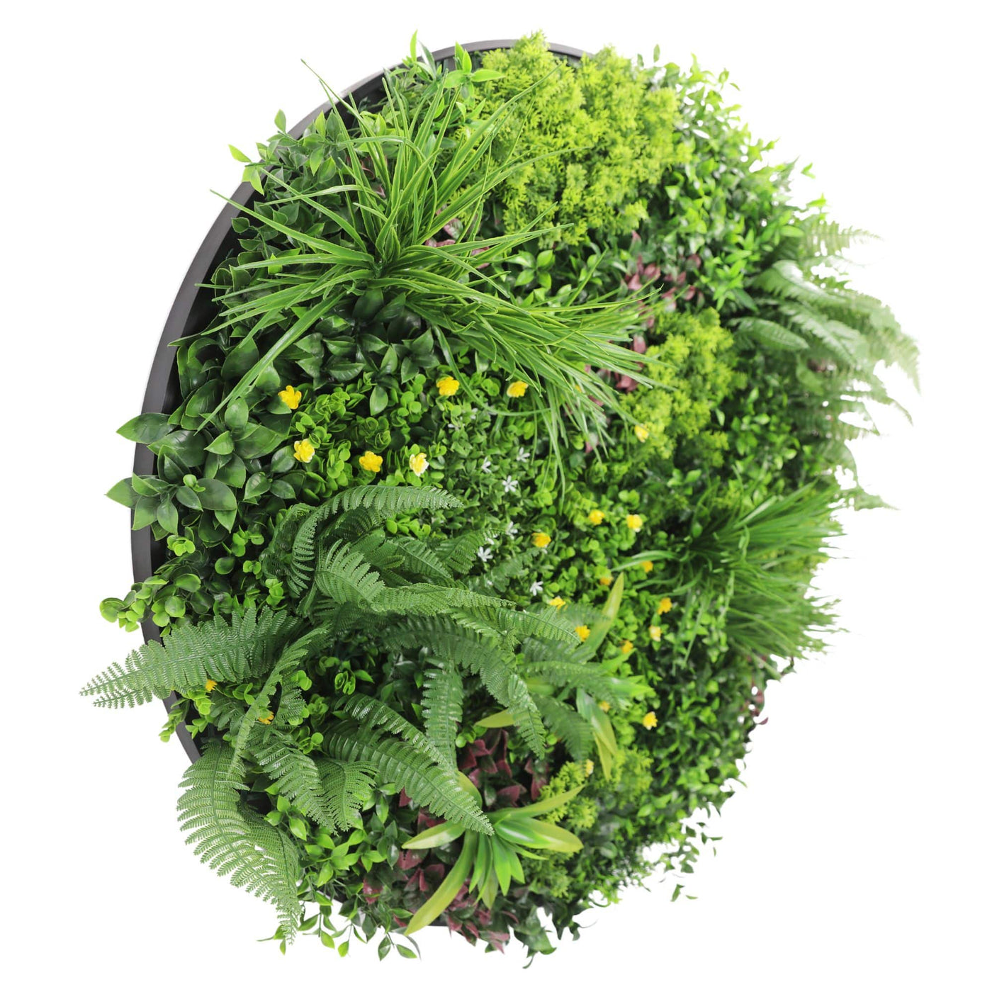 Slimline Artificial Green Wall Disc Art 100cm Country Fern UV Resistant (Black)
