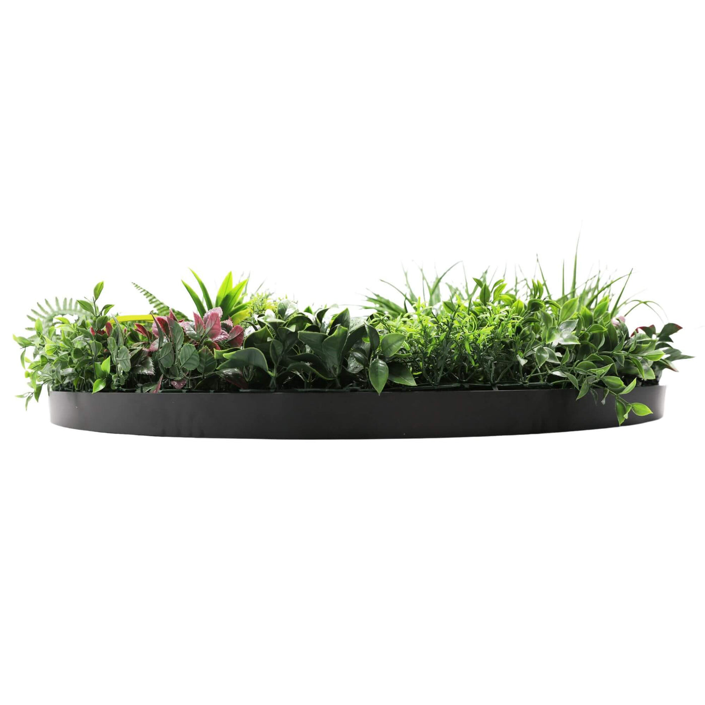 Slimline Artificial Green Wall Disc Art 100cm Country Fern UV Resistant (Black)