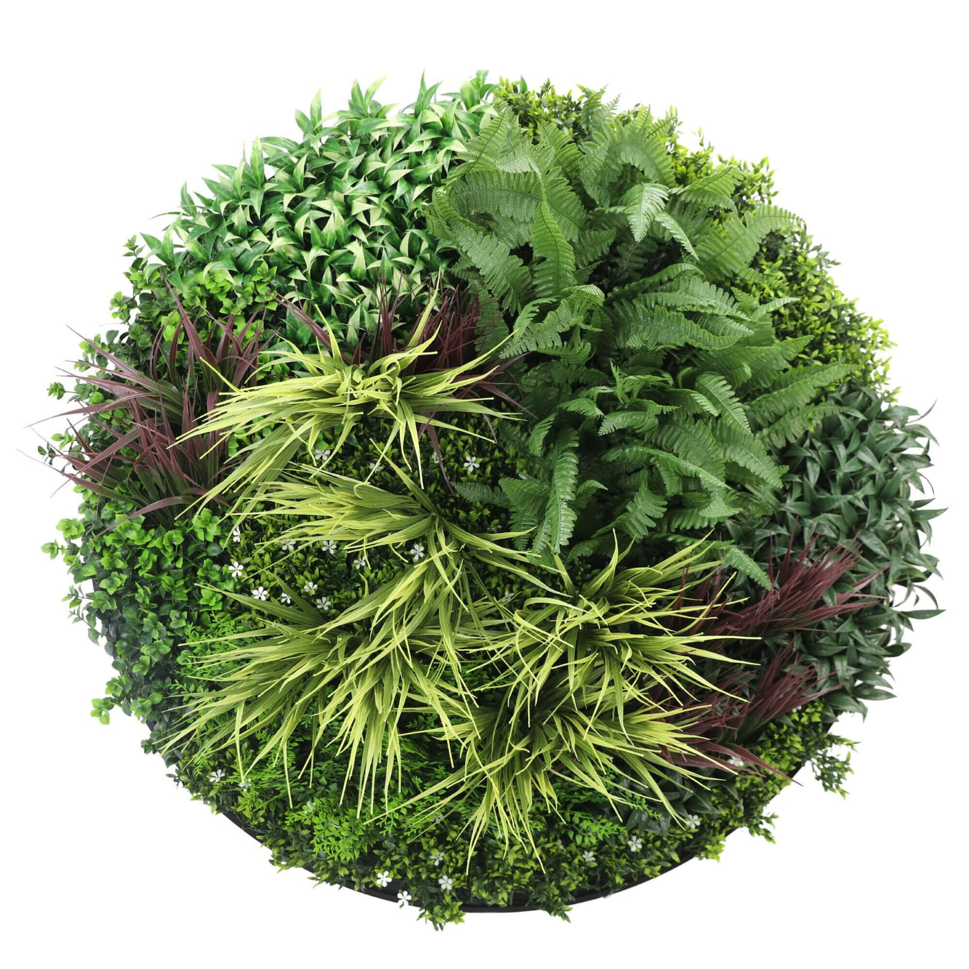 Slimline Artificial Green Wall Disc Art 100cm Grassy Fern UV Resistant (Black) - Designer Plants