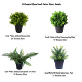 Four small potted artificial plants arranged in a 2x2 grid on a white background, with text labels naming each type: Mimosa Fern, Flowering Hop Plant, Dark Green Fern, and Native Grass Plant. The header reads 'UV Treated 20cm Small Potted Plants Bundle.