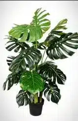 Shape and unfold your fake plant based on your space or preferences.