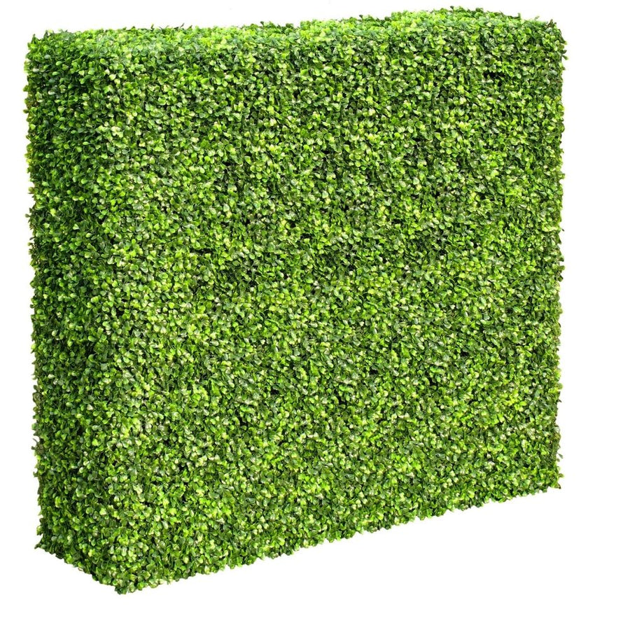 Mixed Boxwood Hedge UV Resistant 75cm Long x 75cm High - Designer Plants