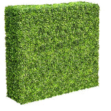 Large Portable Mixed Boxwood Hedge 1.5m by 1.5m UV Resistant - Designer Plants