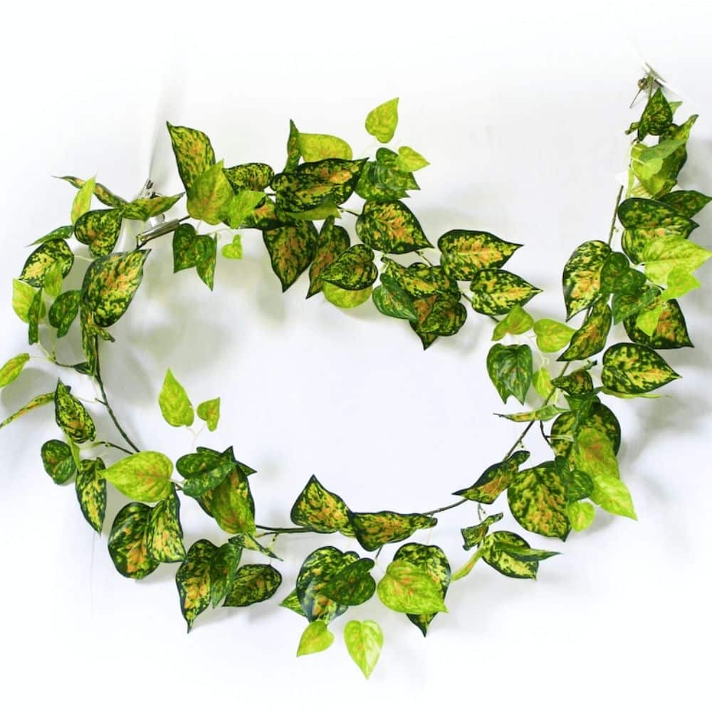 Mixed Yellow and Red Pothos Garland 190cm - Designer Plants