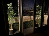 Very Beautiful Artificial Ficus Tree with UV Resistance 180cm, featuring lush green foliage and a natural-looking multi-stem trunk in a sleek black planter, displayed outdoors against a landscaped garden backdrop.