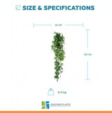 Vivid Green Hanging Artificial Ruscas Plant UV Resistant 120cm
