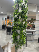 White Flowering Jasmine Stem UV Resistant 30cm