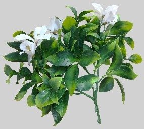 Luxury Snowy White Vertical Garden / Green Wall UV Resistant 100cm x 100cm