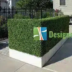 Boxed hedges for your driveway entrance.