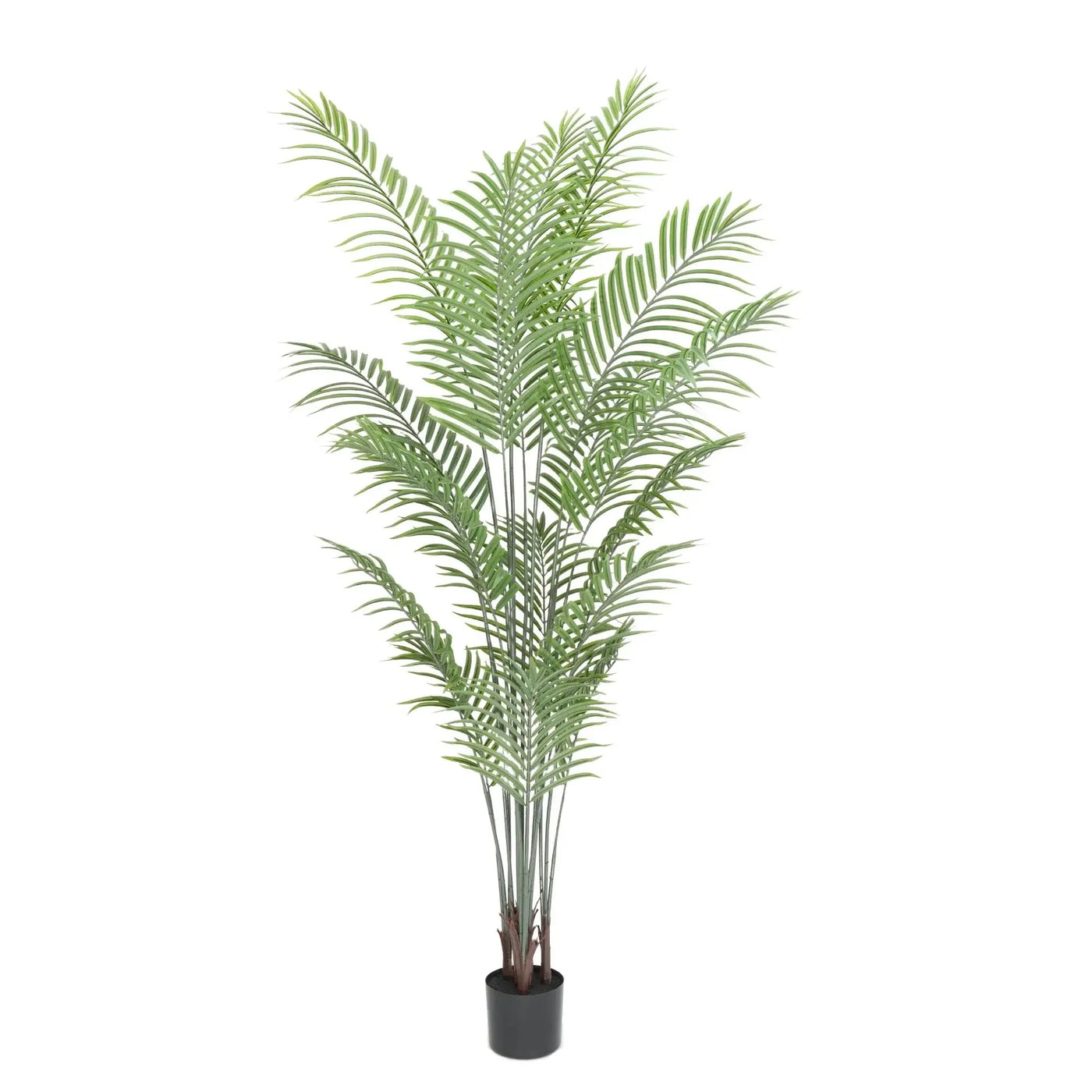 Premium Modern Artificial Tall Areca Tree 210cm