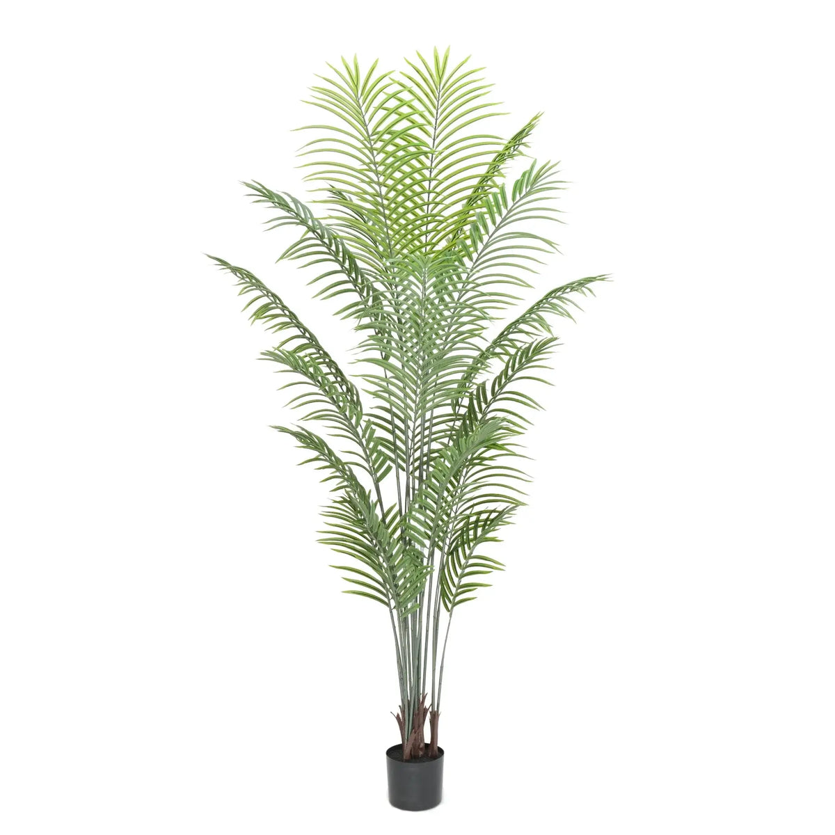 Premium Modern Artificial Tall Areca Tree 210cm - Designer Plants