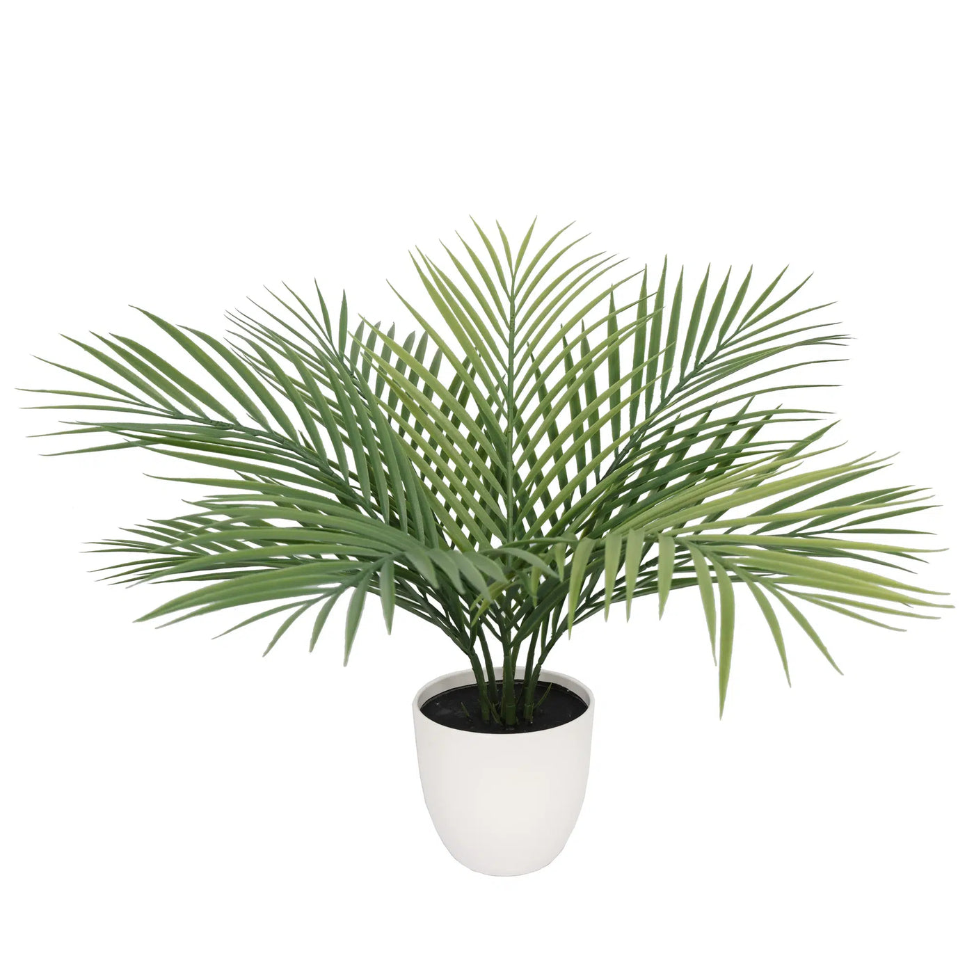 Premium Artificial Areca Palm Tree 50cm UV Resistant - Designer Plants