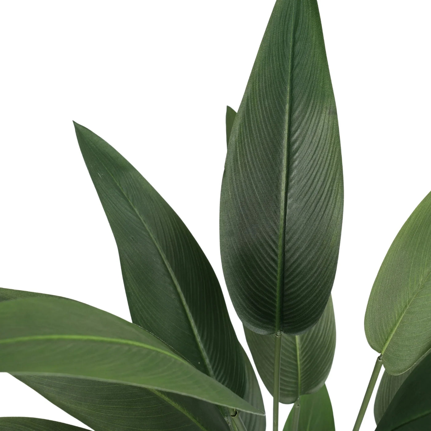 Artificial green plant leaves with a realistic tropical bird-of-paradise leaf design, shown against a plain white background.